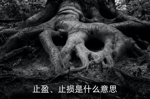 止盈、止損是什么意思