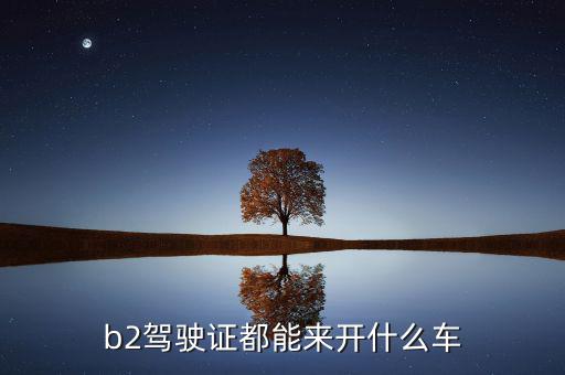 徐翔開什么車,中國(guó)富豪都開什么車