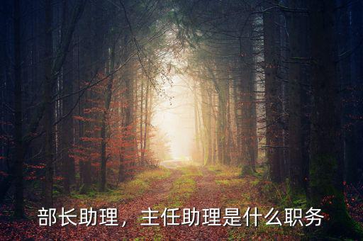 商務部部長助理什么級別,主任助理是什么職務