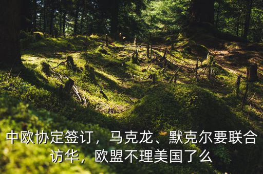 中歐協(xié)定簽訂，馬克龍、默克爾要聯(lián)合訪華，歐盟不理美國了么