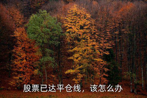 股票已達(dá)平倉(cāng)線，該怎么辦