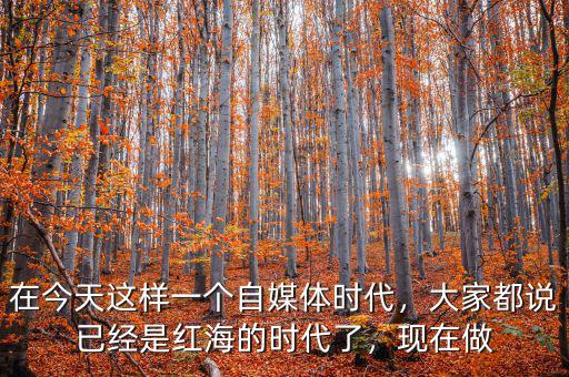 在今天這樣一個(gè)自媒體時(shí)代，大家都說已經(jīng)是紅海的時(shí)代了，現(xiàn)在做