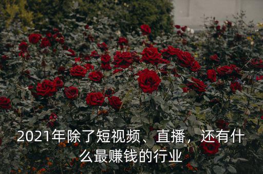 2021年除了短視頻、直播，還有什么最賺錢的行業(yè)