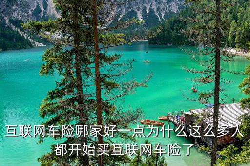為什么是第一個(gè)互聯(lián)網(wǎng)保險(xiǎn),互聯(lián)網(wǎng)車(chē)險(xiǎn)哪家好一點(diǎn)