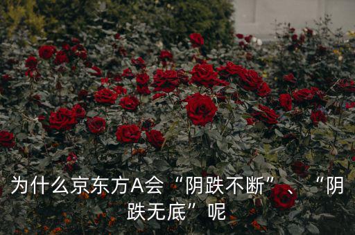 京東方a為什么股價這么低,為什么京東方利潤那么高