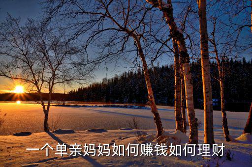 一個(gè)單親媽媽如何賺錢(qián)如何理財(cái)