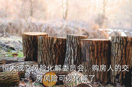 什么叫風(fēng)險化解,恒大成立風(fēng)險化解委員會