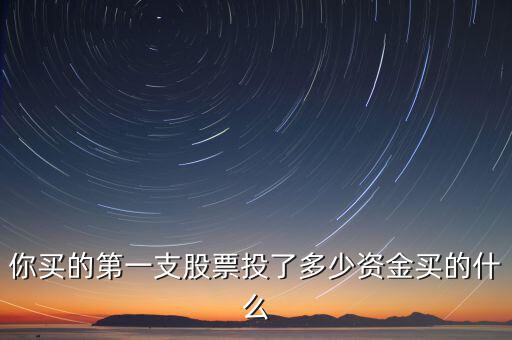 你買(mǎi)的第一支股票投了多少資金買(mǎi)的什么