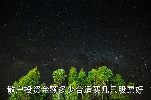 散戶投資金額多少合適買(mǎi)幾只股票好
