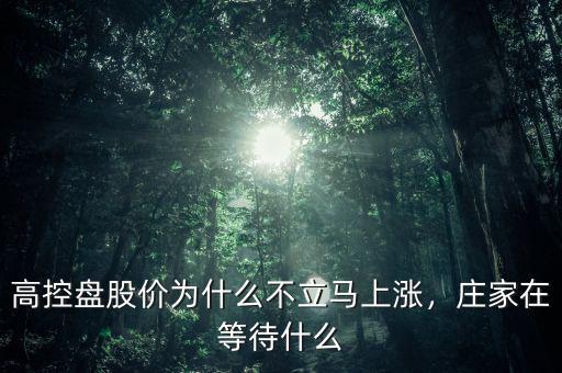 高控盤股價(jià)為什么不立馬上漲，莊家在等待什么