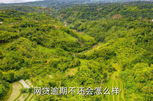 網(wǎng)貸不還款會(huì)怎么樣,網(wǎng)貸逾期不還會(huì)怎么樣