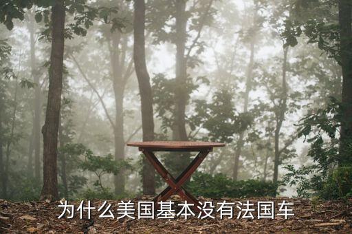 為什么美國不產豪車,大眾車在美國為什么不好買