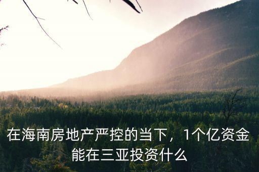 在海南房地產(chǎn)嚴(yán)控的當(dāng)下，1個(gè)億資金能在三亞投資什么