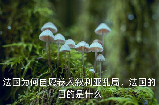 敘利亞和法國(guó)有什么矛盾,法國(guó)襲擊敘利亞后