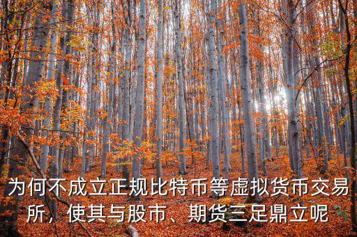 為何不成立正規(guī)比特幣等虛擬貨幣交易所，使其與股市、期貨三足鼎立呢