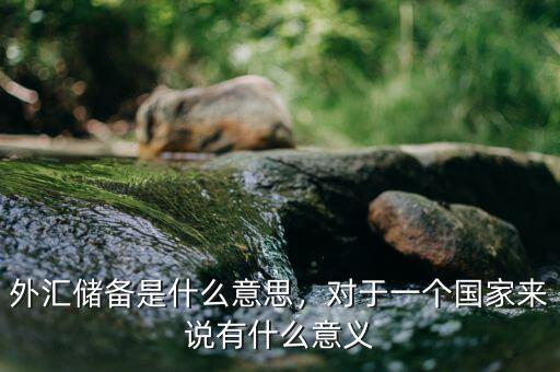 外匯儲備是什么意思，對于一個國家來說有什么意義