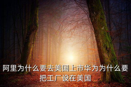 阿里為什么不是外國(guó)公司,為什么會(huì)被說成是外國(guó)企業(yè)呢