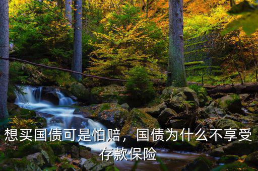 想買國債可是怕賠，國債為什么不享受存款保險