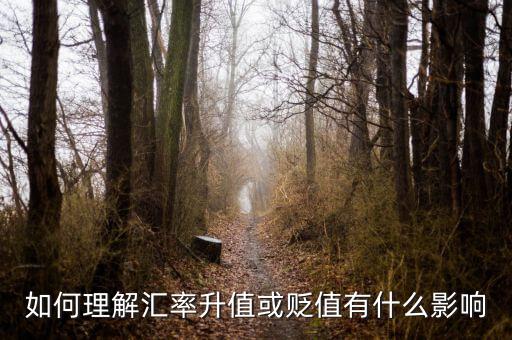 什么貶值會影響匯率,如何理解匯率