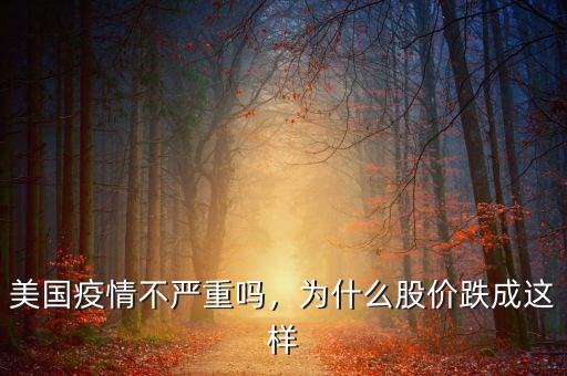 美國疫情不嚴重嗎，為什么股價跌成這樣