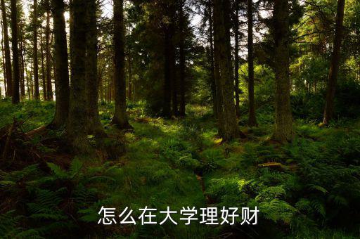 怎么在大學(xué)理好財(cái)