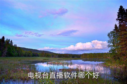 什么電視臺有gdp直播,電視臺直播軟件哪個好