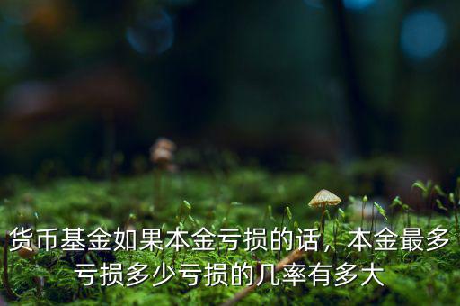 貨幣基金如果本金虧損的話，本金最多虧損多少虧損的幾率有多大
