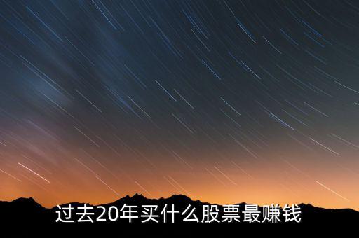 過(guò)去20年買(mǎi)什么股票最賺錢(qián)
