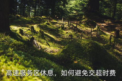 怎么避免高速超時費,高速服務區(qū)休息