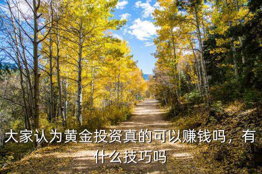 大家認為黃金投資真的可以賺錢嗎，有什么技巧嗎
