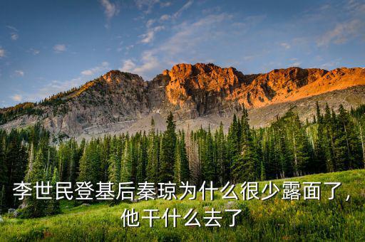 李世民登基后秦瓊為什么很少露面了，他干什么去了