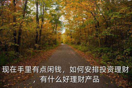 現(xiàn)在手里有點(diǎn)閑錢(qián)，如何安排投資理財(cái)，有什么好理財(cái)產(chǎn)品