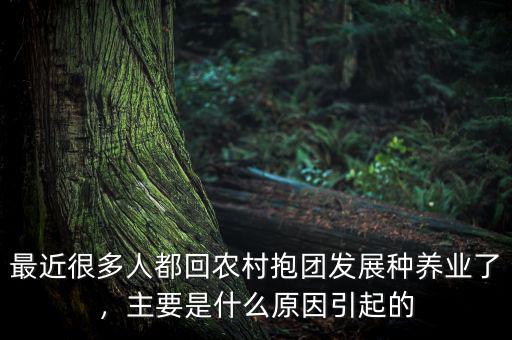 最近很多人都回農(nóng)村抱團(tuán)發(fā)展種養(yǎng)業(yè)了，主要是什么原因引起的