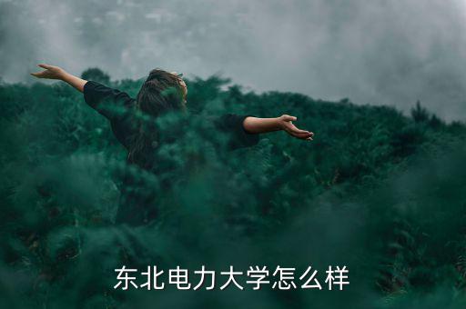 東北電力大學怎么樣