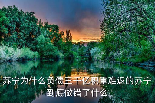 蘇寧轉(zhuǎn)型什么,蘇寧為什么負(fù)債三千億
