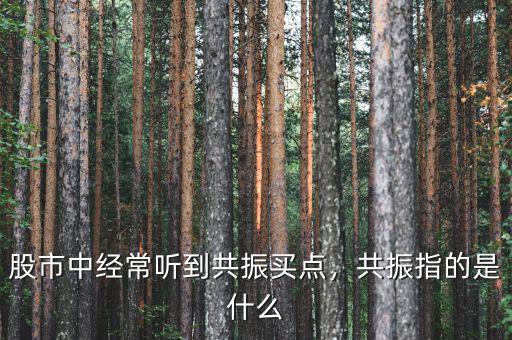 股市中經常聽到共振買點，共振指的是什么