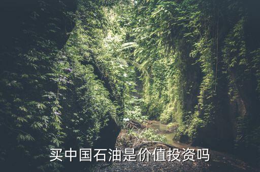 中國什么時候出手購買石油,40價位出手買入幾億桶石油