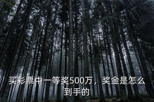 微信彩票中500萬(wàn)怎么領(lǐng)取,買(mǎi)彩票中一等獎(jiǎng)500萬(wàn)