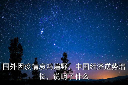 國外因疫情哀鴻遍野，中國經(jīng)濟(jì)逆勢(shì)增長，說明了什么