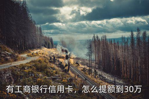 有工商銀行信用卡，怎么提額到30萬