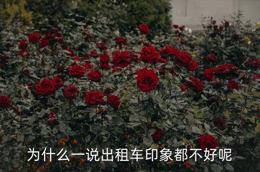 為什么出租車都罵馬云,為什么那么多人罵滴滴打車