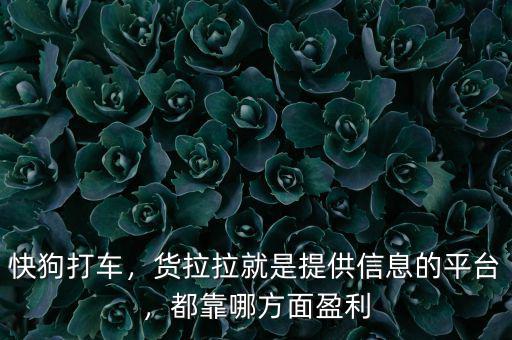 快狗打車，貨拉拉就是提供信息的平臺，都靠哪方面盈利