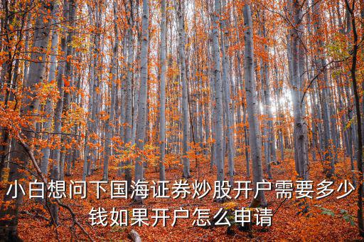 澳股開(kāi)戶需要多少錢(qián),請(qǐng)問(wèn)股票開(kāi)戶最低需要多少錢(qián)