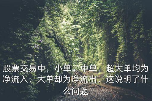 股票交易中，小單、中單、超大單均為凈流入，大單卻為凈流出，這說明了什么問題