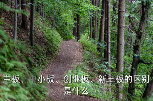 新三板是什么開(kāi)頭的,新三板的概念是什么