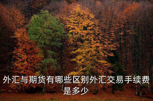 外匯交易手續(xù)費怎么算,外匯與期貨有哪些區(qū)別