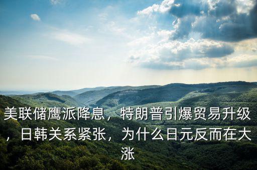 美聯(lián)儲鷹派降息，特朗普引爆貿(mào)易升級，日韓關系緊張，為什么日元反而在大漲