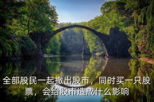 全部股民一起撤出股市，同時(shí)買一只股票，會給股市造成什么影響