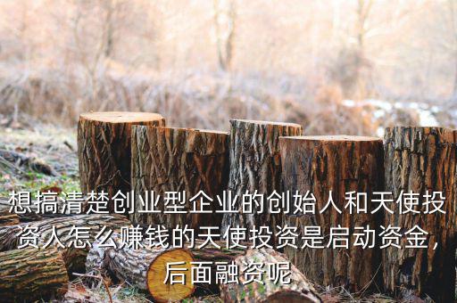 惡棍天使投資多少錢(qián),天使投資的資金從哪來(lái)的