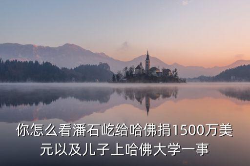 你怎么看潘石屹給哈佛捐1500萬美元以及兒子上哈佛大學(xué)一事